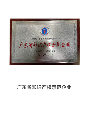 知識產權示范