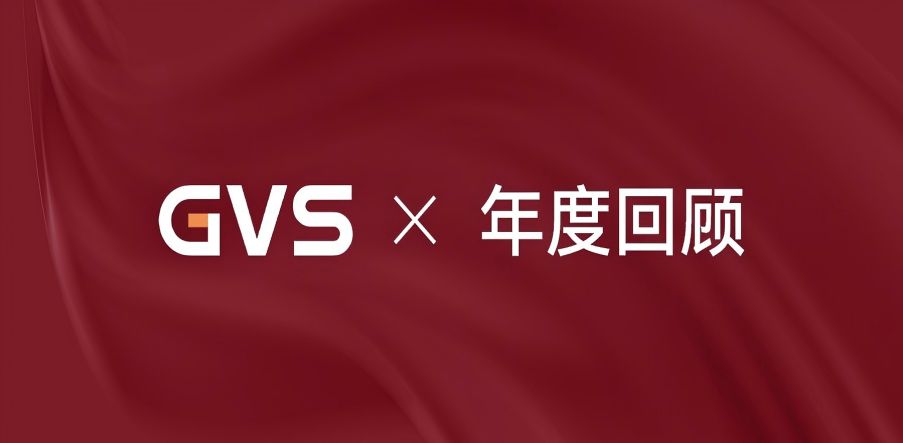 GVS 2024年終總結(jié)，請(qǐng)您查收